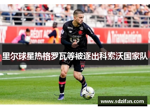 里尔球星热格罗瓦等被逐出科索沃国家队 里尔球星热格罗瓦等被逐出科索沃国家队